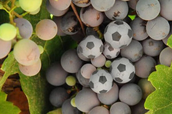 A bor, a futball és a tőkevesztés